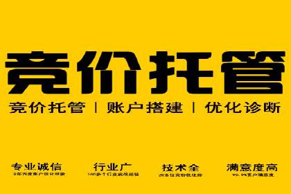 sem竞价托管代运营，助力企业腾飞的成功故事